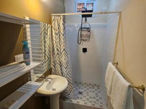 a bathroom with a shower with a sink and a toilet at Palmerola Inn in Villa de San Antonio +72 photos