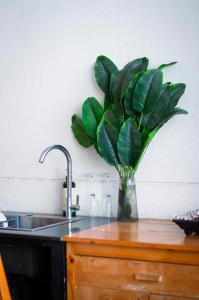 Φωτογραφία από το άλμπουμ του Alis Homestay στην Πόλη Χο Τσι Μινχ