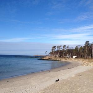 Fotografie z fotogalerie ubytování Strandbadsgården B&B v destinaci Löderup