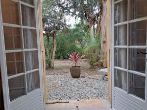 an open door to a yard with a potted plant at Clos Helene in Hyères