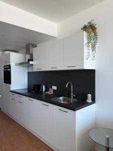 Η κουζίνα ή μικρή κουζίνα στο Piano Apartment