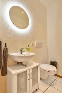 a bathroom with a sink and a toilet and a mirror at Haus Christof in Bodenmais +20 photos