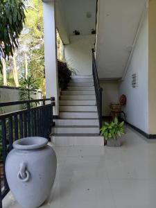 Фотография из галереи Royal Hotel в городе Михинтале