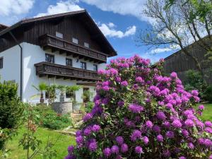 Κήπος έξω από το Habicht Ferienhaus