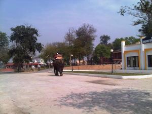 Hosté ubytování Dabchick Tourist Resort