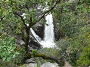 una cascada en medio de un bosque en Adelaide Hotel, en Gerês