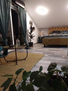 a living room with a bed and a table and a plant at Olive garden house in Petrovaradin +46 photos