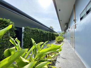 Um jardim no exterior de Xen Pool Access
