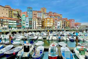 Un gruppo di barche ormeggiate in un porto con edifici di Bidebarrieta Etxea , apartamento recién reformado a Bermeo