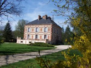 een groot roze gebouw op een grasveld bij Château des Bouffards in Brinon-sur-Sauldre