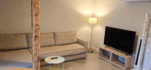 クレサーレにあるFriedrich Magnus, Güldenstubbe Residencesのソファと薄型テレビのあるリビングルーム