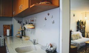 a kitchen with a sink with butterflies on the wall at Cozy Heritage Home in Prishtinas Historic Zone in Pristina +21 photos