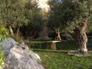 a woman sitting on a bench in a park with trees at NEW Apartment with sunset views and pool in Żebbuġ
