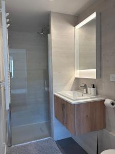 Gallery image of Rental house Niort center in Niort
