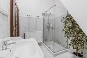 a bathroom with a sink and a shower with a potted plant at Casa Bella in Oradea +33 photos