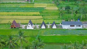 Zahrada ubytování Lombok Hidden Villa