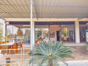 a patio with a table and a palm tree in front of a building at Hotel Palak palace in Rīngas +2 photos