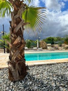 a palm tree next to a swimming pool at Trulli San Pietro in Putignano