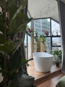 Fotografie z fotogalerie ubytování Moonlight Apartments Tirana v destinaci Tirana