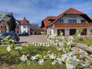 Zahrada ubytování Ferienhof Mohr