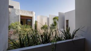 สวนหย่อมนอก Divine House with private roof and pool only 1km from the Beach