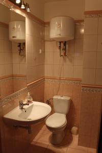 uma casa de banho com um WC e um lavatório em Apartament Stara Kamienica em Ketrzyn