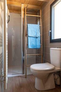 e bagno con doccia, servizi igienici e asciugamano. di La cabane a Narbonne-Plage