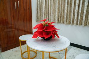 Gallery image of Rich inn Palace Tnagar in Chennai +34 photos