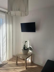 a living room with a potted plant on a table at Pensjonat Absynt in Nowy Targ