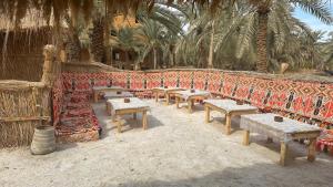 Gallery image of Paloma Camp in Siwa