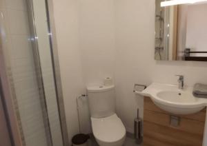 a bathroom with a toilet and a sink at Gite 9 Gîte Puy Mary Séjour Relaxant au Cœur du Parc Naturel Régional in Le Claux