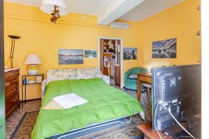 a bedroom with a green bed and a tv at LA CORTE DELLA CARLA - cozy home in the old court in Lierna +26 photos