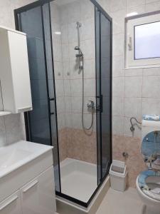 a bathroom with a shower and a toilet at Apartments Vink in Vir
