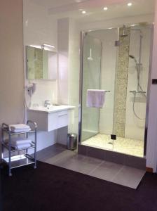 a bathroom with a shower and a sink at Relais Du Vignoble in Gueberschwihr
