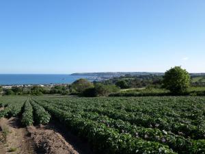 Příroda nedaleko prázdninového domu
