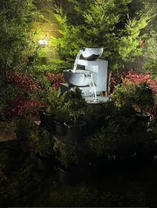 Orchard Valley View外面的花园