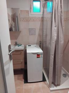 un piccolo bagno con lavandino e doccia di Maison Vitry Sur Seine proche Paris, métro et toutes commodités a Vitry-sur-Seine
