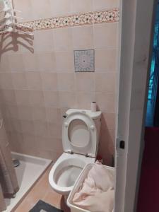 bagno con servizi igienici e coperchio di Maison Vitry Sur Seine proche Paris, métro et toutes commodités a Vitry-sur-Seine