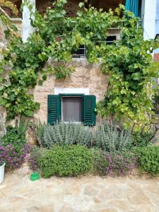 Zahrada ubytování Country house Koštela + 19 fotografií