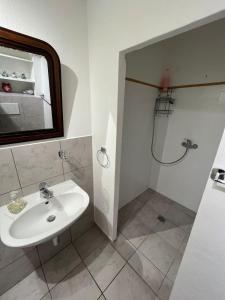 a bathroom with a sink and a shower at Studio au cœur de la ville de Neuchatel in Neuchâtel
