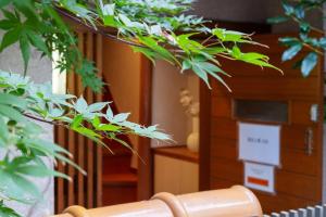 Foto sihtkohas Tōkyō asuva majutusasutuse 114t 楽逸グループ 高田馬場 楽宿 高田馬場駅徒歩9分 3線路使える 新宿至近 3ベットルーム 家族 グループ向き galeriist