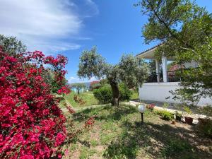 a house with pink flowers in the yard at Casa Santa Agua in Ammouliani