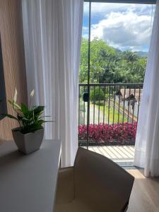 a plant sitting on a table in front of a window at Studio Pomerode in Pomerode