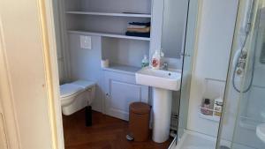 un piccolo bagno con lavandino e doccia di Appartement charmant à Les Andelys - 36 m² avec jardin a Les Andelys Altre 24 foto