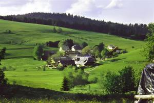 a group of houses in a green field at Haus Edelweiß Zimmer in Todtnau
