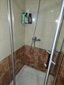 een douche met een glazen deur en een bad bij Tirana Center Apartment 12 in Tirana +53 foto's