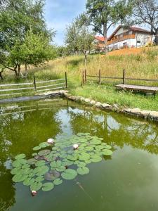 a pond with lily pads and a house in the background at Casa Aluna Duo in Bran
