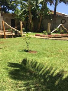Zahrada ubytování Humphrey home stay