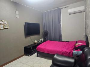 路易港Mountain View Haven, Port Louis的卧室里有一张粉色的床和一台平板电视