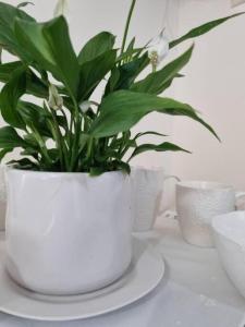 Gallery image of Dimi Studio Image in Ierapetra